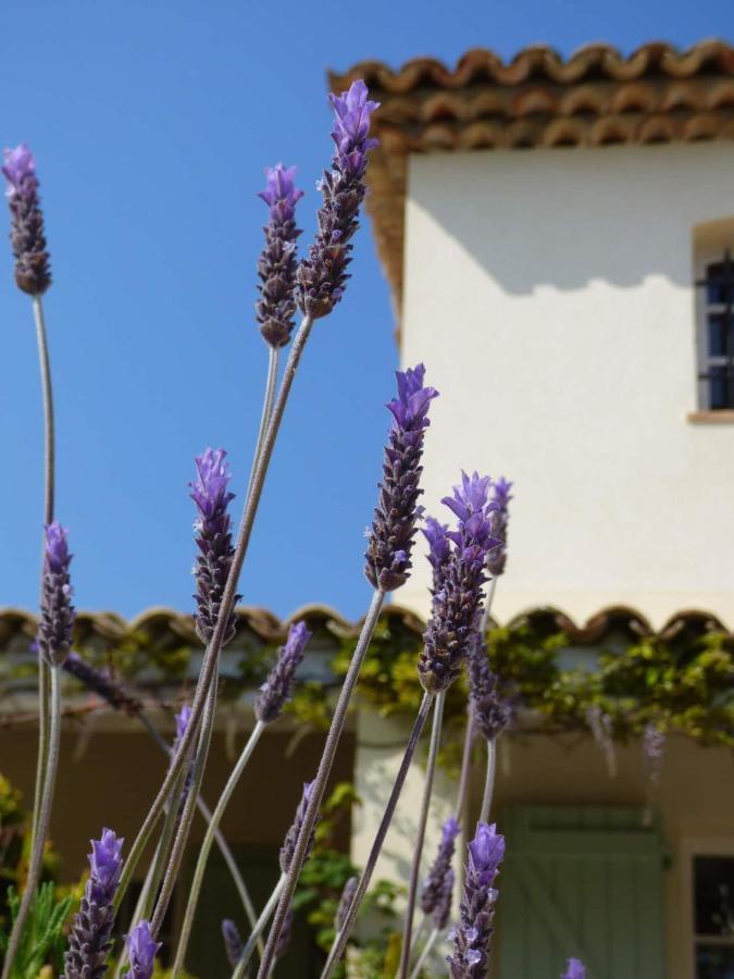 Bed and Breakfast Azurea à Valbonne Extérieur photo